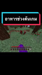 เทคนิคการหาอาหารในช่วงต้นเกม Minecraft แบบง่ายที่สุด (มือใหม่ก็ทำได้)